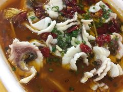 -焯明脆肉鲩世家(金沙洲店)