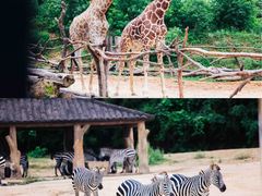 -杭州野生动物世界