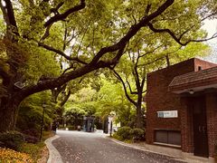 -上海瑞金洲际酒店