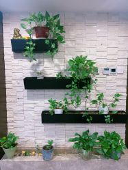 -青青一生美皮肤管理