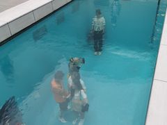 -金泽21世纪美术馆