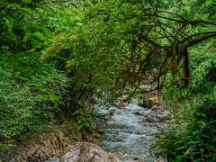 -西岭雪山大飞水景区