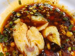 -蜀滋香鲜鱼美蛙火锅(339店)
