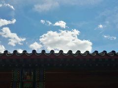 -百好乐宠物友好餐厅(朝外大街店)