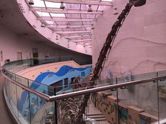 -陕西自然博物馆