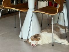 -时间抽屉(裕华万达广场店)