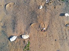 -青岛第三海水浴场