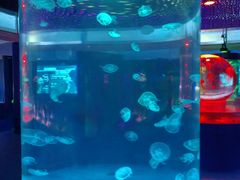 -常州海昌海洋探索馆