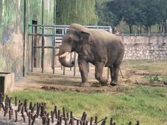 -西安秦岭野生动物园