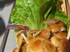 -海底捞火锅(奥山世纪城店)