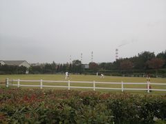 -平湖九龙山旅游度假区