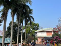 -侯臣咖啡文化村