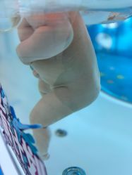 -贝贝熊(武汉印象城店)