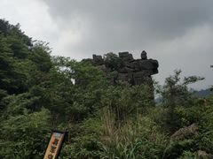-梦幻奥陶纪景区