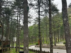 -洛阳白云山景区