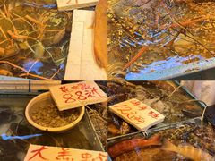 -杨屋道街市