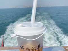 -招商蛇口邮轮母港(观光客运)