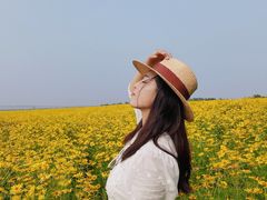 -北纬44度·金珠花海休闲农业旅游景区