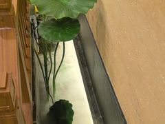 -九田家黑牛烤肉料理(衡百国际店)