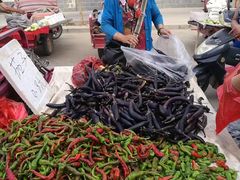 -党河风情线国家水利风景区