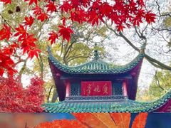 -岳麓山风景名胜区