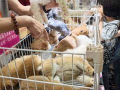 -宁波国际会展中心