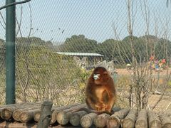 -宁波野生动物园
