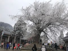 -南岳衡山风景名胜区