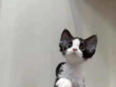 -萨莉亚意式餐厅(南京环亚凯瑟琳广场店)