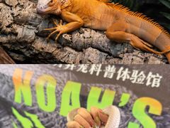 -鹏欣水游城