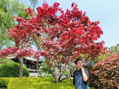 -上海皇廷花园酒店·西餐厅·自助餐