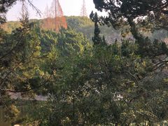 -叶家花园
