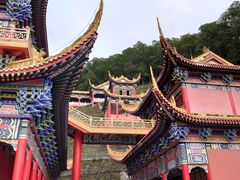 -东莞市大岭山森林公园