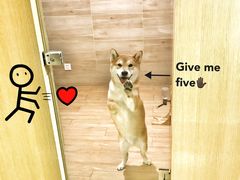 -Double Rui宠物酒店