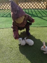 -萌宠亲子动物乐园(槐房万达店)