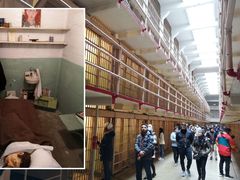 -阿尔卡特拉斯岛