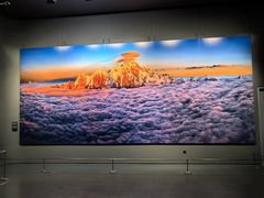 -罗红摄影艺术馆