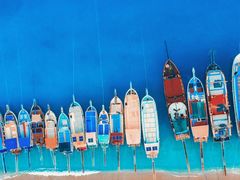 -大鹏饭店·金陵家宴(奥体中心店)