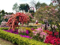 -东莞植物园