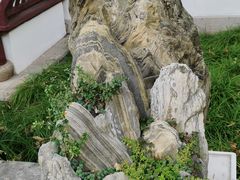 -上海醉白池公园