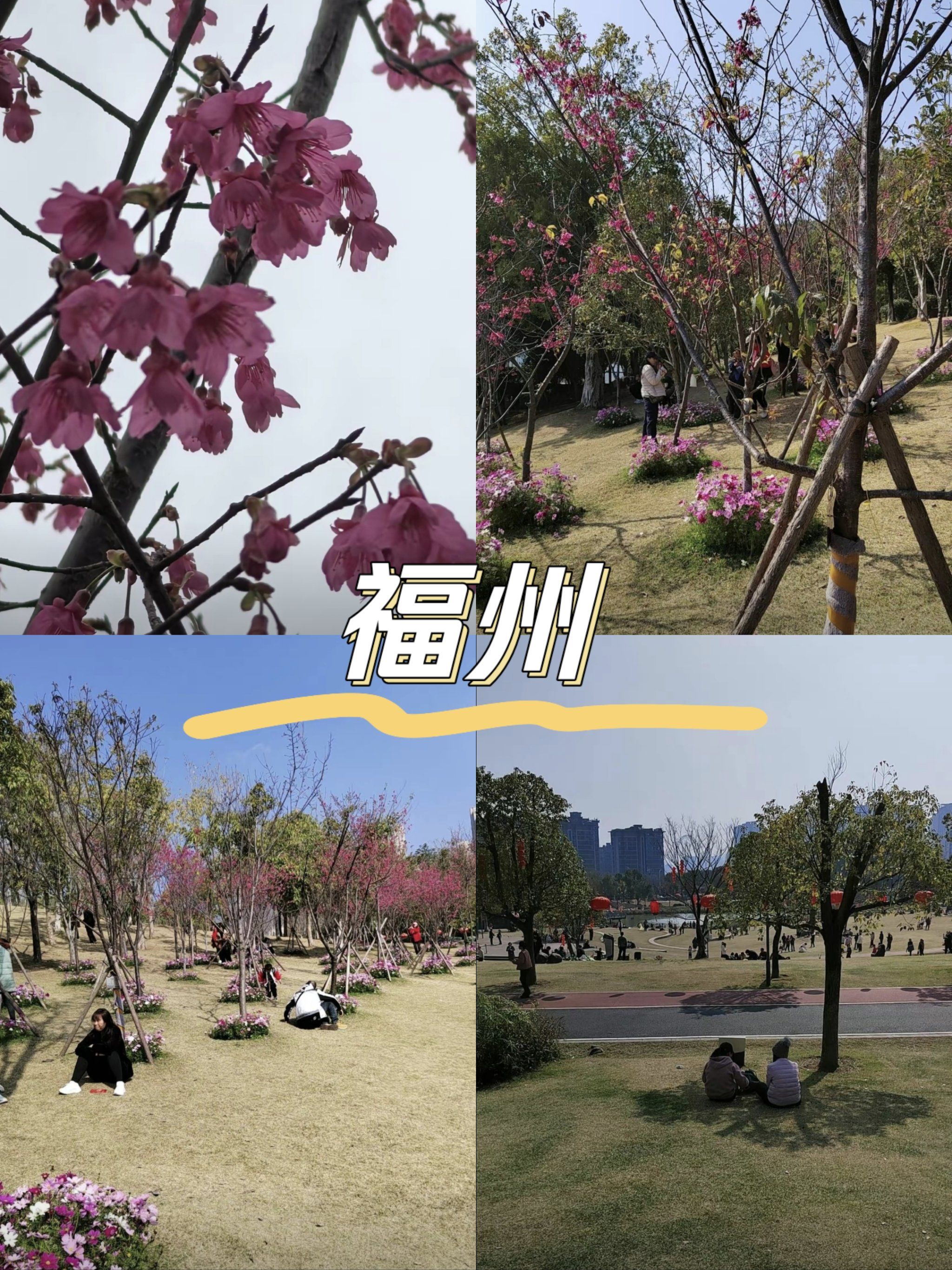 福州牛岗山公园:一场与自然的浪漫邂逅
