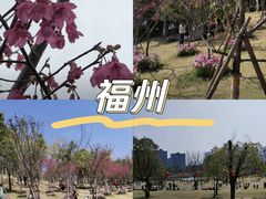 -牛岗山公园