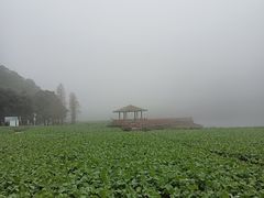 -广州市石门国家森林公园