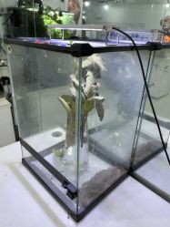 -神奇动物撸宠馆·羊驼·小浣熊·异宠(豫园店)