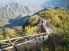-大岭沟猕猴桃谷风景区