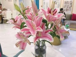 -郡艺医疗美容·微整·眼鼻吸脂