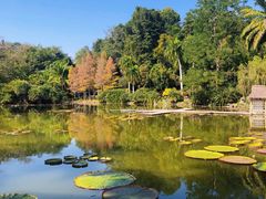 -中国科学院西双版纳热带植物园