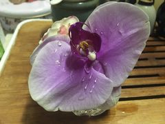 -EVERNAKED裸蛋糕(SOHO天山店)