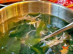 -西塔老太太泥炉烤肉(北京双井店)