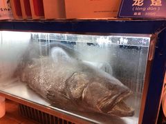-御唐府海珊瑚主题餐厅